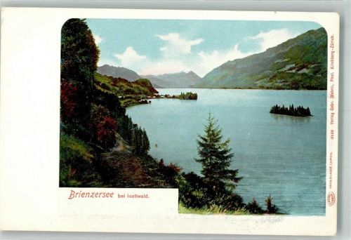 3807 Iseltwald Foto AK Brienzersee