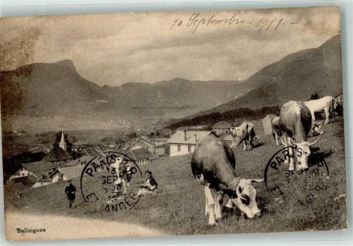 1338 Ballaigues 1911 - Kühe