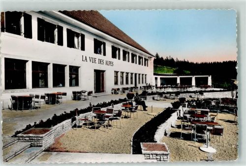 Vue des Alpes - Gasthaus Terrasse