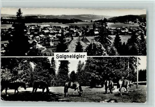 2350 Saignelégier - Pferde