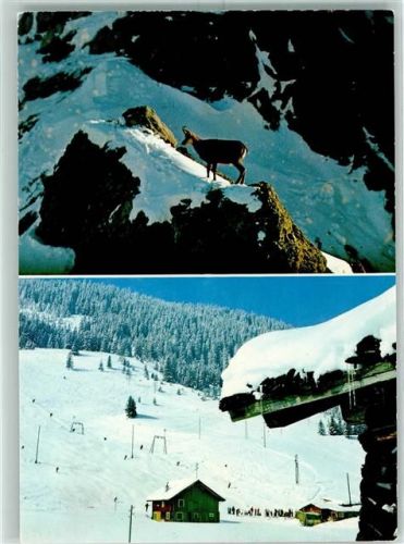 9497 Steg - Gemse Skigelände Steg Saminatal Winter