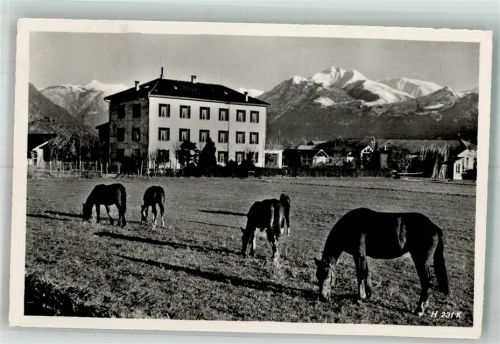 6598 Tenero 1953 Foto AK Curo Militare