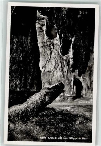 6340 Baar Foto AK Verlag U. Fotgraf Max Burkhardt Dom mit Krokodil Höllgrotten