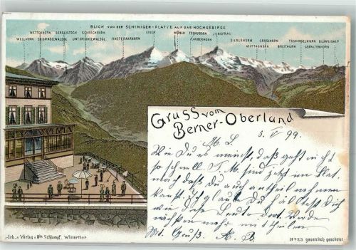 Schynige Platte 1899 Lithographie Berner Oberland Hochgebirge Verlag Schlumpf Nr 23