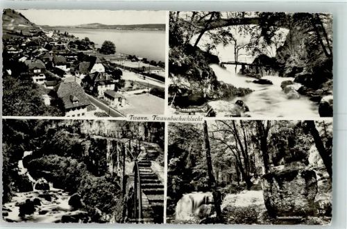 2513 Twann 1962 - Twannbachschlucht