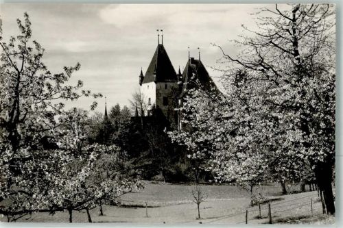 3076 Worb Foto AK Schloss