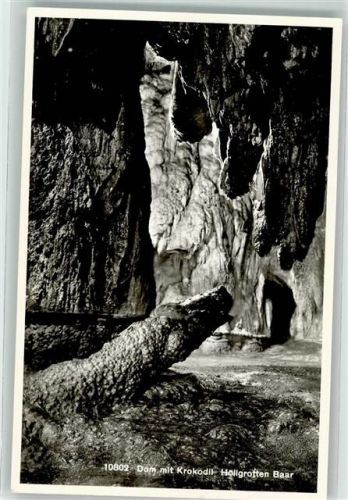 6340 Baar Foto AK Verlag U. Fotgraf Max Burkhardt Dom mit Krokodil Höllgrotten