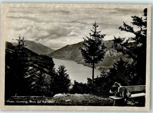 8890 Flums - Flumserberg