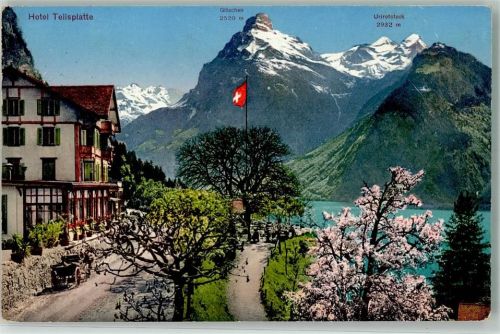 6452 Sisikon - Hotel Tellsplatte