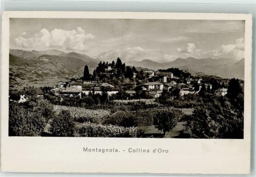 6926 Montagnola Foto AK Collina d'Oro