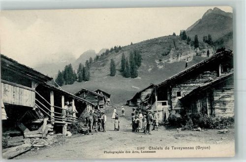 1882 Gryon - Chalets de Taveyannaz