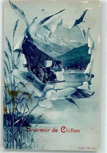 Chillon Chateau Passepartout Taube