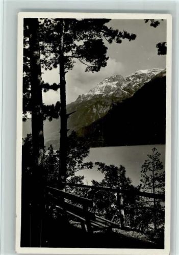 3852 Ringgenberg BE - Katzenpfad Bäume