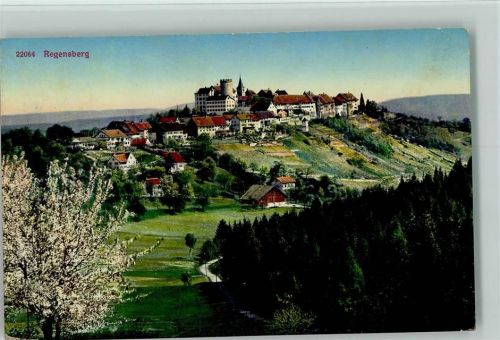 8158 Regensberg 1916 - Blühende Bäume