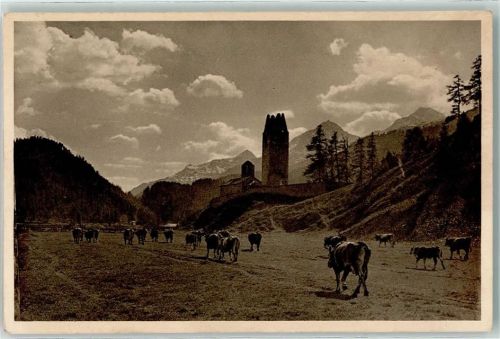 Kuhherde auf der Alp