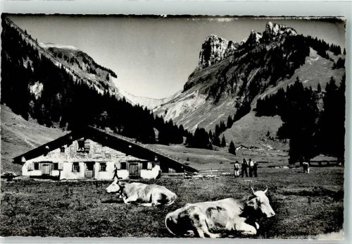 3658 Merligen - Kühe Justistal