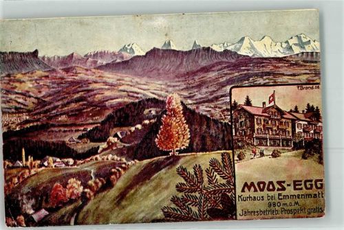 3543 Emmenmatt Künstlerkarte Moos-Egg Kurhaus sign. F.Brand