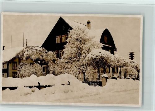 9410 Heiden - Winter