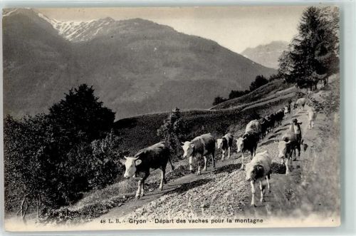 1882 Gryon - Kuhherde