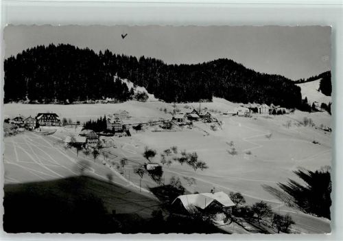 3625 Heiligenschwendi 1938 - im Winter