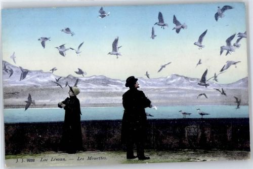 Genfersee Lac Leman - Möwen