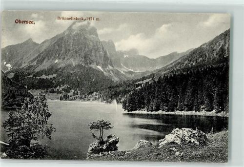 Obersee - Brünnelistock