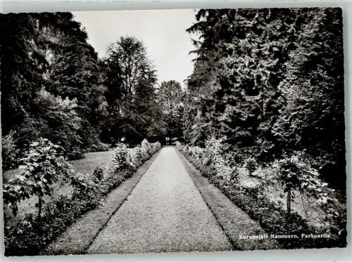 8265 Mammern Foto AK Parkpartie Kuranstalt