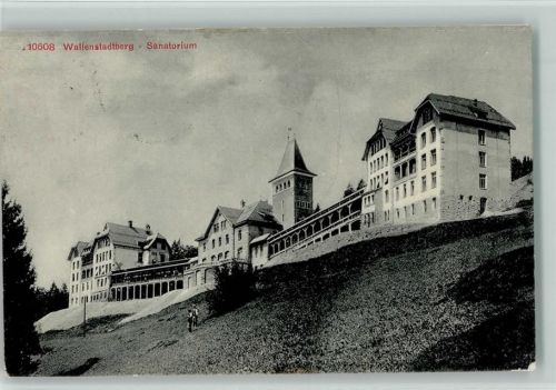 8880 Walenstadt 1910 - Wallenstadtberg Sanatorium