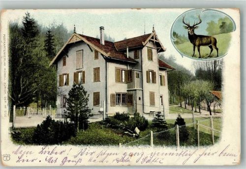 8135 Langnau am Albis Foto AK Hirsch Ort lt. Stempel