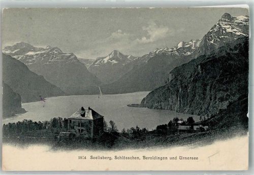 6377 Seelisberg 1908 Foto AK Schloss Beroldingen Urnersee