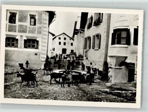 7545 Guarda Foto AK Ziege Dorfbrunnen