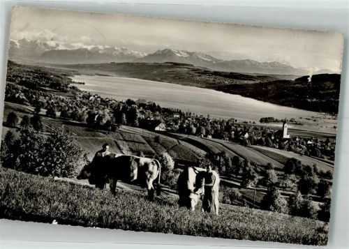 5707 Seengen 1958 Foto AK Hallwilersee