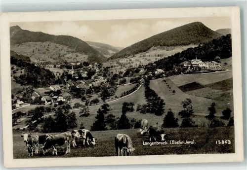 4438 Langenbruck - Kühe auf der Weide