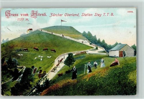 Hörnli ZH - 1910 Hörnli-Kulm Hüttenstempel