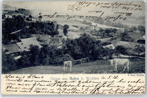 8242 Hofen SH - Teilansicht, Kühe