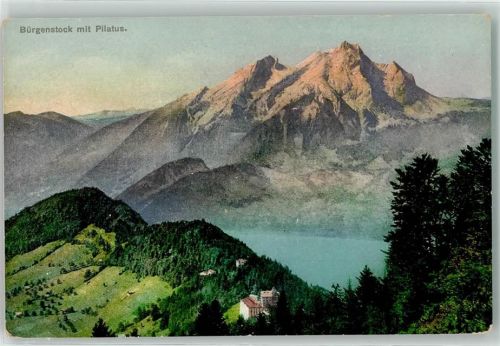 6363 Bürgenstock - Pilatus Reklame Richard Brandt Apotheker
