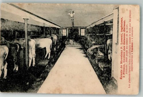 7477 Filisur FOTO KEINE AK Pferde- Stall Ècurie de Monsieur P- Lorenz