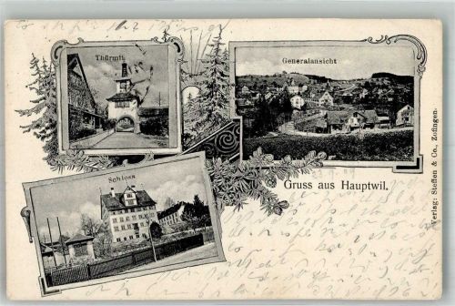 9213 Hauptwil 1909 Foto AK Schloss Türmli Bahnpost Zug 2602