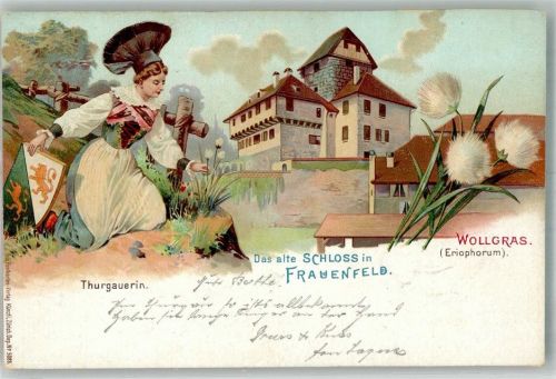 8500 Frauenfeld 1903 Lithographie Tracht Thurgauerin Schloss Wollgras