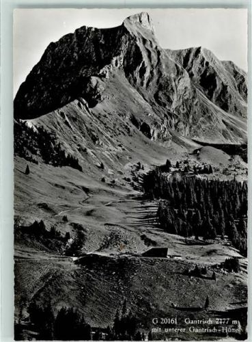 Gantrisch Gebrauchsspuren Unterer Gantrisch