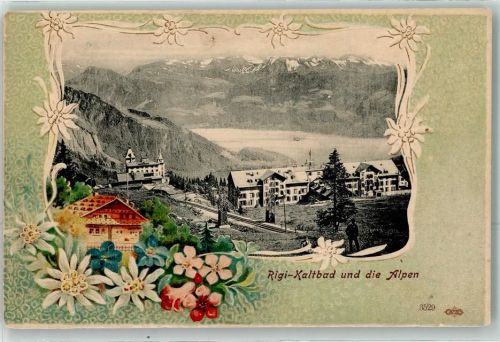 6356 Rigi Kaltbad Prägedruck Alpen Edelweiß Passepartout Lithographie