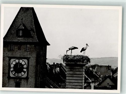 8213 Neunkirch - Storchennest