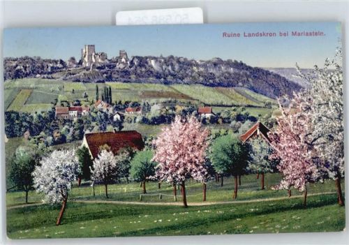 4115 Mariastein - Ruine Landskron