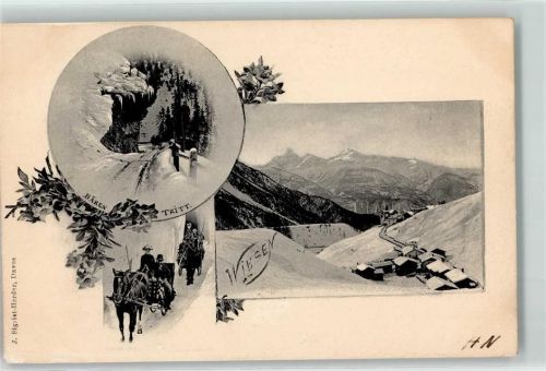 7494 Wiesen GR 1905 - Winter Pferdeschlitten Bären Tritt