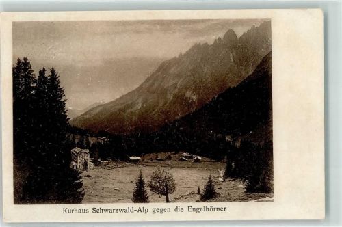 EngelhörnerSchwarzwaldalp - Kurhaus