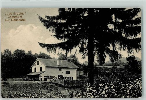 2067 Chaumont - Les Erables