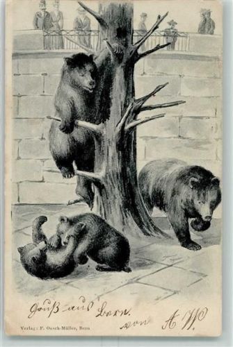 3000 Bern Berne 1903 Gebrauchsspuren