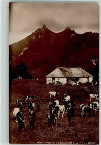 1663 Gruyères - Parturage