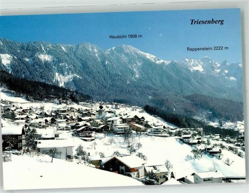 9497 Triesenberg Foto AK Winter Walsersiedlung Rappenstein Heubühl