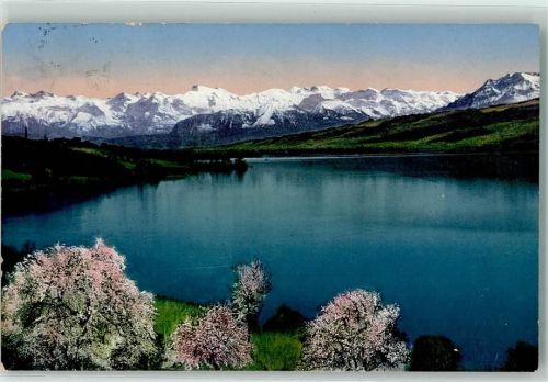 5705 Hallwil 1917 - Hallwilersee